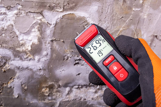 Best Mold Cleaning Services  in Duquesne, MO