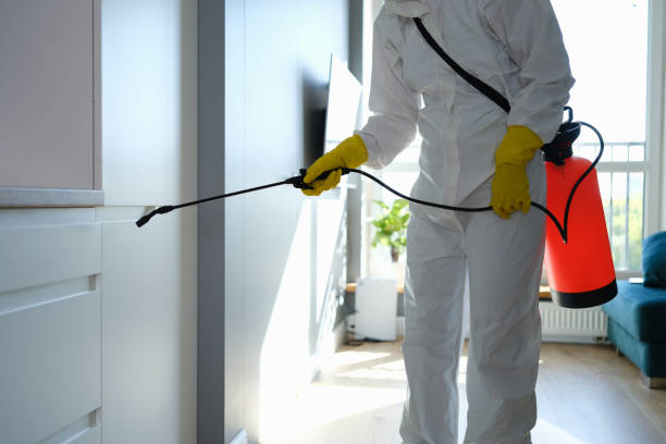 Best Crawl Space Mold Removal  in Duquesne, MO